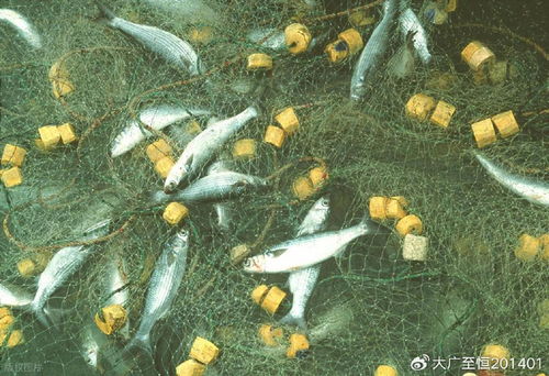 AquaTech 2026 馬來西亞漁業展覽會 領航漁業新紀元，驅動畜牧漁業飼料銷售創新