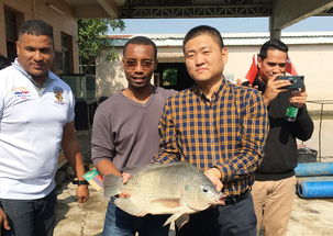 2019年海上絲綢之路國家水生動物健康管理及檢驗檢疫研修班項目圓滿落幕，成果豐碩助力畜牧漁業飼料銷售市場拓展